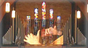 Organ-Harp.jpg